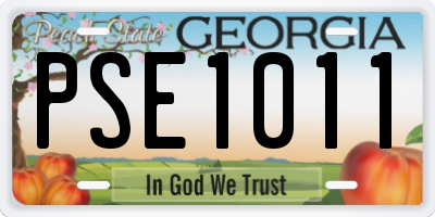 GA license plate PSE1011
