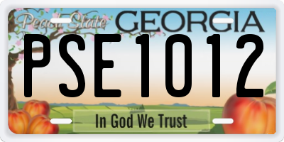 GA license plate PSE1012
