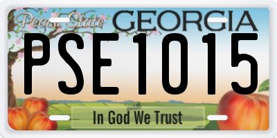 GA license plate PSE1015