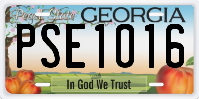 GA license plate PSE1016