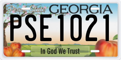 GA license plate PSE1021