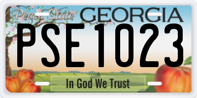 GA license plate PSE1023