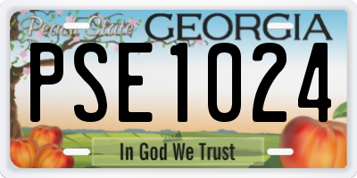 GA license plate PSE1024