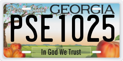 GA license plate PSE1025