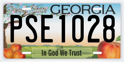 GA license plate PSE1028