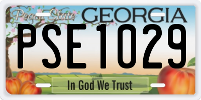 GA license plate PSE1029
