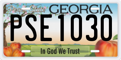 GA license plate PSE1030