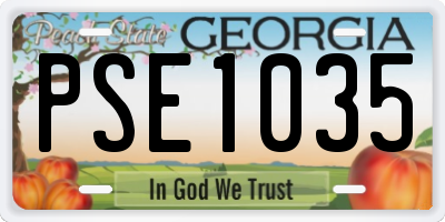 GA license plate PSE1035