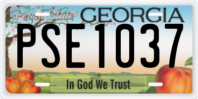 GA license plate PSE1037