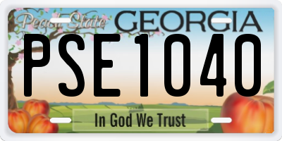 GA license plate PSE1040
