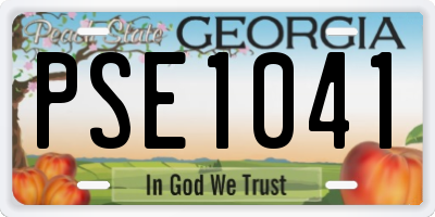 GA license plate PSE1041