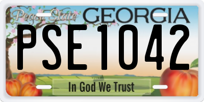 GA license plate PSE1042