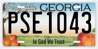 GA license plate PSE1043
