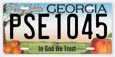 GA license plate PSE1045