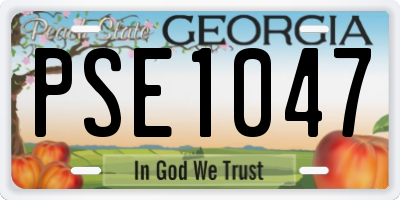 GA license plate PSE1047