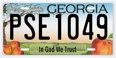 GA license plate PSE1049