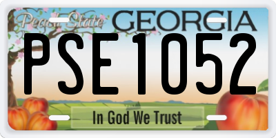 GA license plate PSE1052
