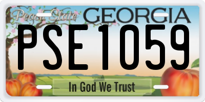 GA license plate PSE1059