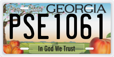 GA license plate PSE1061