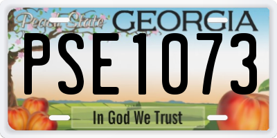 GA license plate PSE1073