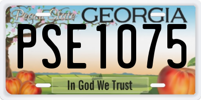 GA license plate PSE1075