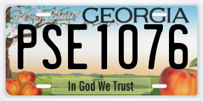 GA license plate PSE1076