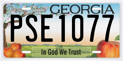 GA license plate PSE1077