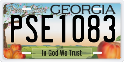 GA license plate PSE1083