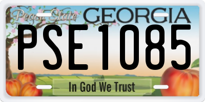 GA license plate PSE1085