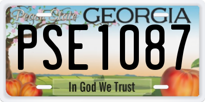 GA license plate PSE1087