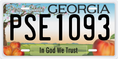 GA license plate PSE1093
