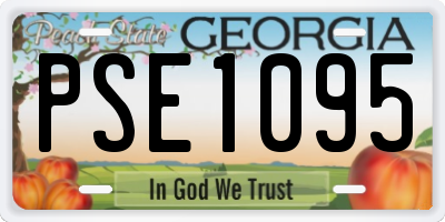 GA license plate PSE1095