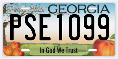 GA license plate PSE1099