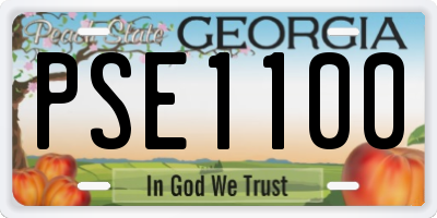 GA license plate PSE1100