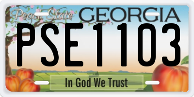 GA license plate PSE1103