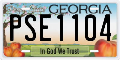 GA license plate PSE1104