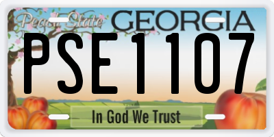 GA license plate PSE1107
