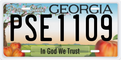 GA license plate PSE1109