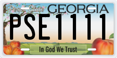 GA license plate PSE1111