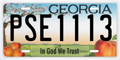 GA license plate PSE1113