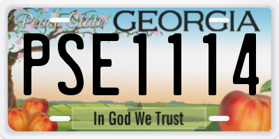 GA license plate PSE1114