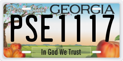 GA license plate PSE1117