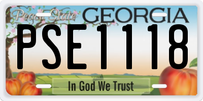 GA license plate PSE1118