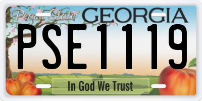 GA license plate PSE1119