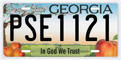 GA license plate PSE1121