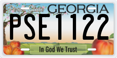 GA license plate PSE1122