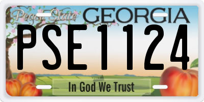 GA license plate PSE1124