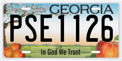 GA license plate PSE1126
