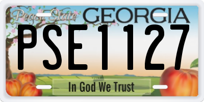 GA license plate PSE1127