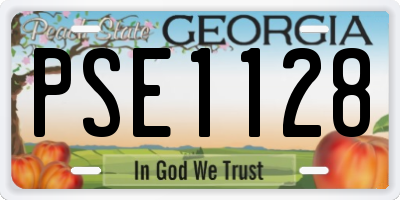 GA license plate PSE1128